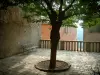Callian - Pequeña plaza del pueblo decorado con un árbol y un banco con vistas a las casas
