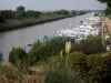 Camargue gardoise - Petite Camargue : canal du Rhône à Sète, bateaux amarrés