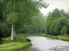 Canal Berry - Canal forrado com árvores