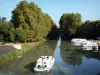 Canal de Garonne - Bateau naviguant sur le canal de Garonne (canal latéral à la Garonne), bateaux amarrés, et platanes (arbres) au bord de l'eau ; à Damazan