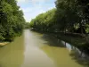 Canal di Midi - Tree-lined canale