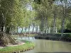 Canal du Midi - Canal (binnenvaart), met bomen omzoomde jaagpad