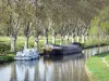 Canal du Midi - Afgemeerde boten, platanen en picknicktafels aan de waterkant