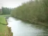 Canal de Nantes à Brest - Canal (rivière) et arbres