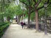 Canal Saint-Martin - Promenade le long du canal, à l'ombre des arbres