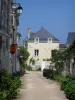 Candes-Saint-Martin - Rue et maisons du village