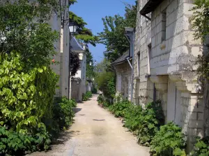 Candes-Saint-Martin - La calle llena de plantas y casas de piedra