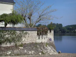 Candes-Saint-Martin - Banco y el río (Loira)