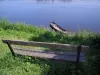 Candes-Saint-Martin - Banc, herbes hautes, barque et rivière