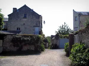 Candes-Saint-Martin - Maisons du village