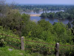 Candes-Saint-Martin - Du sommet de la colline du village, vue sur le confluent de la Loire et de la Vienne