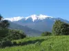 The Canigou - Tourism, holidays & weekends guide in the Pyrénées-Orientales