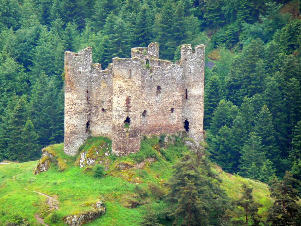 Guide du Cantal - Château d'Alleuze - Vestiges du château fort médiéval entourés de verdure, dans les gorges de la Truyère