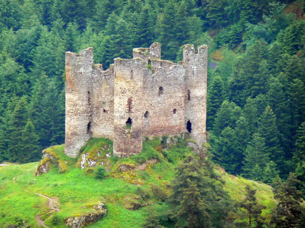 Guía de Cantal - Castillo de Alleuze - Restos del castillo medieval rodeado de vegetación, en las gargantas del Truyère