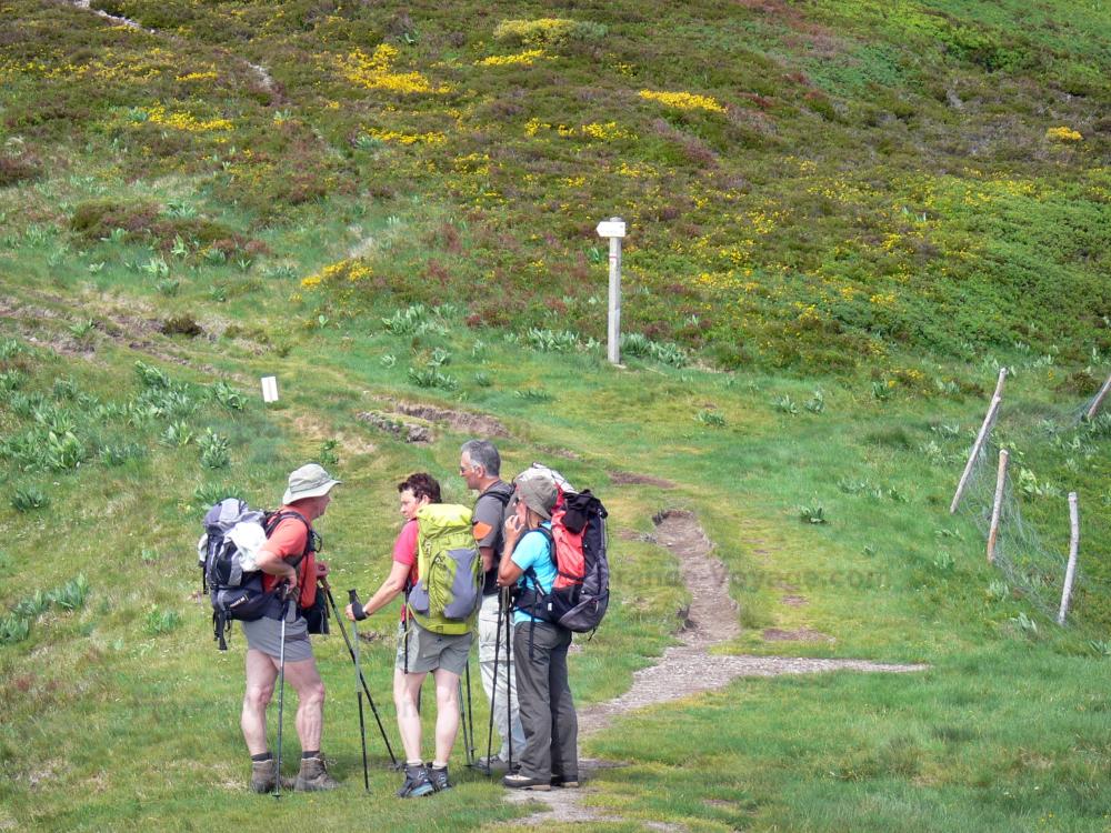 Guide du Cantal - Monts du Cantal - Parc Naturel Régional des Volcans d'Auvergne : randonneurs sur un sentier balisé