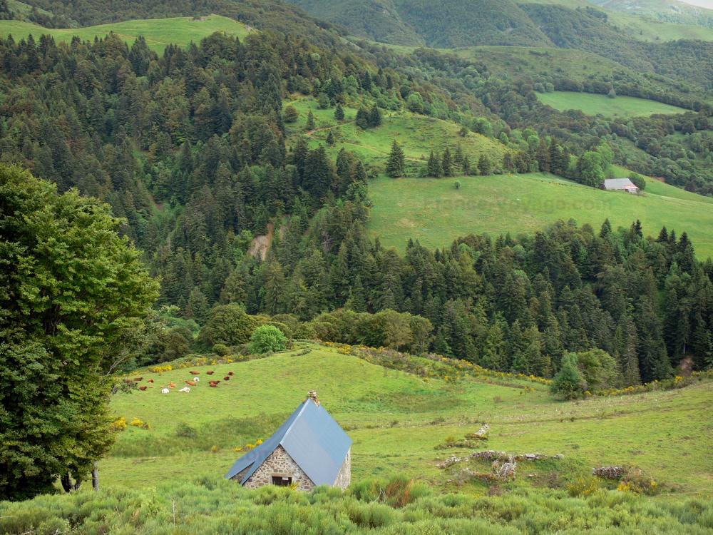 Guide du Cantal - Paysages du Cantal - Parc Naturel Régional des Volcans d'Auvergne - Monts du Cantal : panorama depuis le col de Font-de-Cère