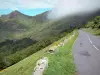 Cantal Landschaften - Regionaler Naturpark der Vulkane der Auvergne: Straße zum Cantal-Gebirge