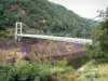 Cantal Landschaften - Schluchten der Truyère: Die Brücke von Tréboul schwebt über dem Stausee von Sarrans