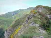 Cantal Landschaften - Regionaler Naturpark der Vulkane der Auvergne - Monts du Cantal: Berglandschaft