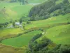 Cantal Landschaften - Regionaler Naturpark der Vulkane der Auvergne - Monts du Cantal: Blick auf die mit Kühen übersäten Weiden des Col de Serre