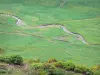 Cantalgebergte - Parc Naturel Régional des Volcans d'Auvergne: stroom gevoerd met weilanden