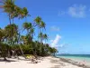 Cap Chevalier - Plage de l'anse Michel avec ses cocotiers, son sable blanc et ses eaux turquoises