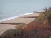 Capo Hève - Vegetazione, spiaggia e mare a Sainte-Adresse (Channel)