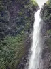 Carbet Falls - Segunda cachoeira de Carbet