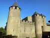 Carcassonne - Kasteel grafelijke