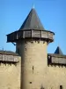 Carcassonne - Hourds du château comtal