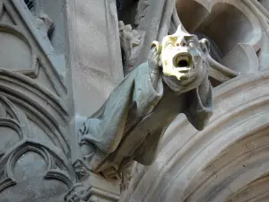 Carcassonne - Wasserspeier der Basilika Saint-Nazaire