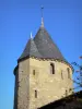 Carcassonne - Rondleiding door de stad
