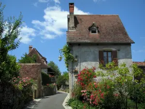 Carennaque - Rua florida com roseiras e casas, em Quercy