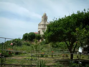 Cargèse - Tuinen vol met planten, bloemen en bomen, met de Griekse kerk op de achtergrond