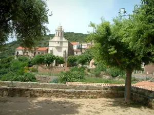 Cargèse - Kleine plein met bomen, huizen en Griekse kerk op de achtergrond