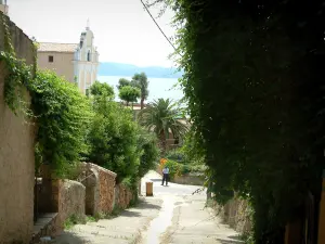 Cargèse - Alley versierd met wijnranken, palm, kerk Latijn, en de Middellandse Zee voor de kust