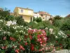 Cargèse - Maisons surplombant des jardins ornés de fleurs et de plantes