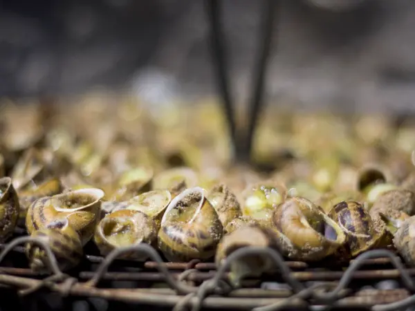 La cargolade - Guida gastronomia, vacanze e weekend dei Pirenei Orientali