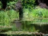 Casa e jardins de Claude Monet - Jardin de Monet, em Giverny: Jardim da Água: lírios de água da lagoa (lagoa do lírio de água) pontilhada com nenúfares, juncos, vegetação e árvores