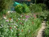 Casa e jardins de Claude Monet - O jardim de Monet, em Giverny: Clos Normand: maciço de flores