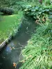 Casa e jardins de Claude Monet - Jardin de Monet, em Giverny: Water Garden: pequeno riacho forrado com lírios em flor