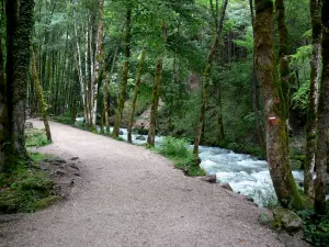 Cascadas del Hérisson - Sendero a las cascadas, un río (el erizo) y los árboles a la orilla del agua