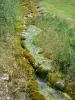 Cascade d'Étufs - Ruisseau bordé de végétation ; sur la commune de Rouvres-sur-Aube