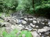 Cascade du Sartre - Parc Naturel Régional des Volcans d'Auvergne : au pied de la cascade, rivière Petite Rhue parsemée de rochers et entourée d'arbres