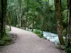 Cascades du Hérisson - Sentier menant aux cascades, rivière (le Hérisson) et arbres au bord de l'eau