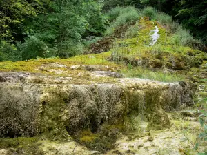 Cascata de Étufs - Cachoeira petrificadora e seus arredores, em um cenário verde; na cidade de Rouvres-sur-Aube