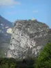 Castellane - Rock (rock) met de Kapel van Onze Lieve Vrouw van de Rots, in de Verdon Regionaal Natuurpark