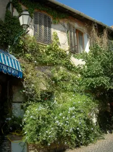 Le Castellet - Arbusti da fiore, viti, casa della lampada e del borgo medievale