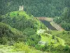 Castello d'Alleuze - Vista del castello medievale arroccato su uno sperone roccioso e la cappella di San Illide nel cuore di una vegetazione lussureggiante, nelle gole del Truyère