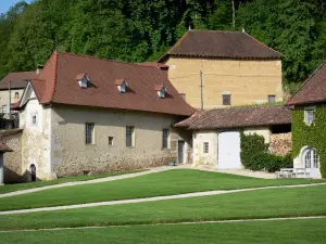 Castello di Longpra - Shared castello e prati sulla città di Saint-Geoire-en-Valdaine